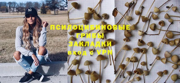 винт Михайловск