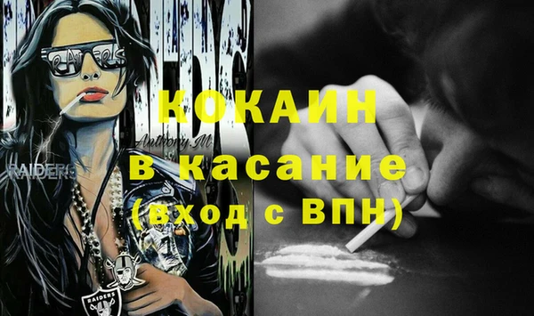 МДПВ Михайлов