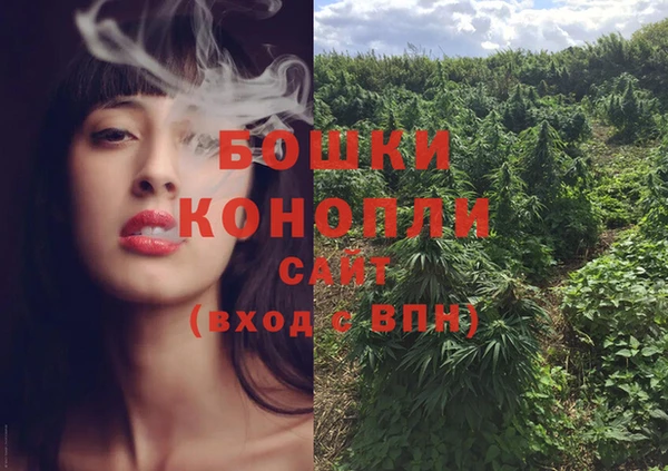 МДПВ Михайлов
