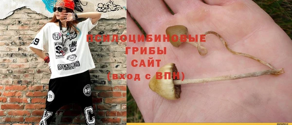 МДПВ Михайлов