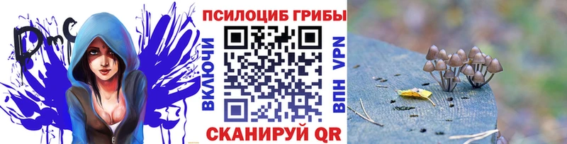 hydra как зайти  хочу   Красный Холм  Псилоцибиновые грибы GOLDEN TEACHER 